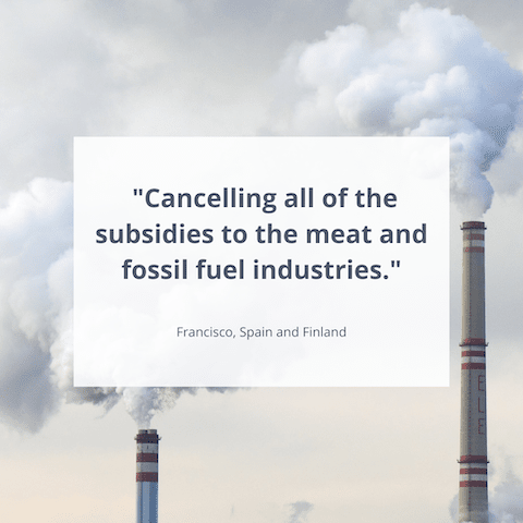 Cancelling all of the subsidies to the meat and fossil fuel industries