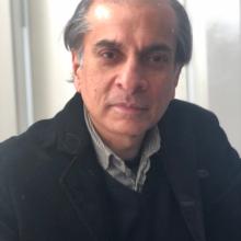 Professor Sunil Khilnani